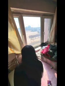 马棚操反差女 优质原创视频在线直达