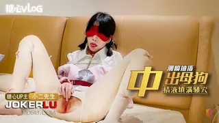 糖心Vlog 中出母狗 精液填满骚穴 小二先生 玩家亲测好评资源