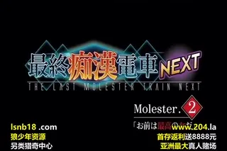 最終痴漢電車NEXT Molester 2「お前は最高の女だ」 - 极具视觉冲击力的全网精选内容