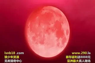 91视频推荐：ヴィーナスブラッド-ブレイヴ- 第2話 生娘は触手の海にいだかれる（メリー·ジェーン） 手机在线播放