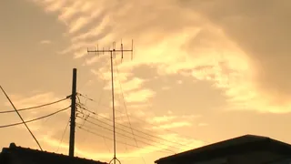 查看 [AV]女友被前輩塞满了 的详细介绍与播放