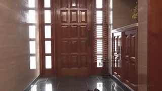 91视频官方收录：G罩杯情色内衣贩售员