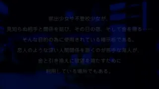 DM。菫背徳の再会 最新更新资源合集