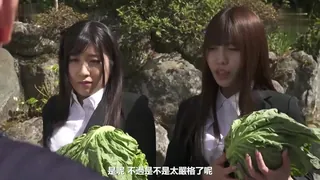 [AV]被胸部夾中間勃起 完整无删减版在线看