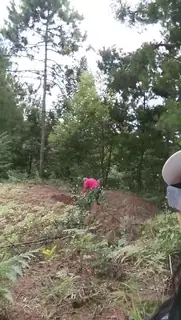 查看 农村的荡妇地头做爱 的详细介绍与播放