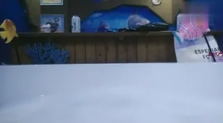 探花。风情万种御姐 - 高清流媒体极速加载