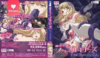 【XN】魔法少女诺布尔 1 玩家亲测好评资源