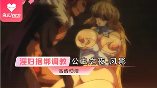 【FC】公主之夜·风影 第一卷 玩家亲测好评资源