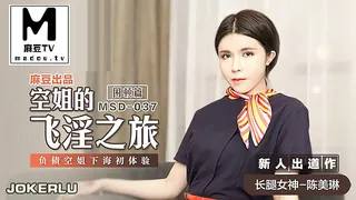 空姐的飞淫之旅.负债空姐下海初体验 - 实时更新的高清麻豆TV资源
