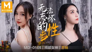 麻豆TV栏目：无法忘怀的性事 精彩封面