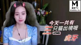 #ASMR 今天一共有三只猫出境哦 虎牙 - 高清流媒体极速加载