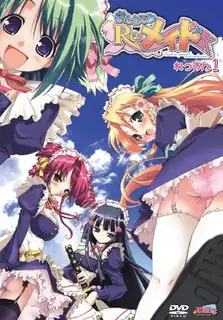 请教我Re：女仆课。#1 玩家亲测好评资源