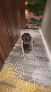 猫咪av站栏目：母狗在楼道跪爬 精彩封面