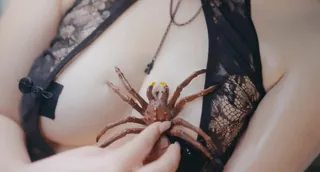 猫咪av站题材必看：cos 1V1 封面图