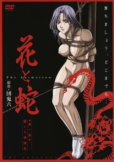 花与蛇。第一话 完整无删减版在线看