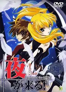 夜幕降临！Vol.3 - 1080P超清画质展示图