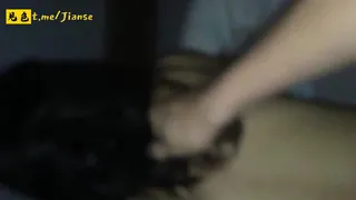 猫咪av站高分作品推荐：后入骚逼的嫩穴