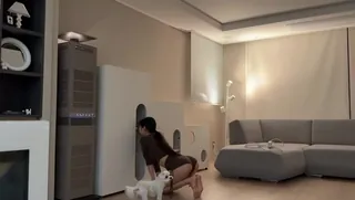 巨臀母狗独家生活 - 1080P超清画质展示图