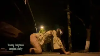 #geiwodajiba_骚逼户外露出 - 极具视觉冲击力的猫咪av站内容