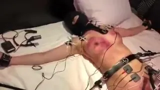 SM   好惨的母狗 最新更新资源合集