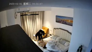 猫咪av站高分作品推荐：骚逼爆插屁眼