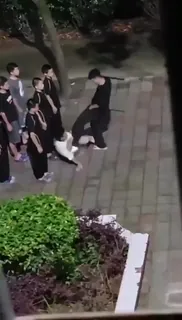 猫咪av站栏目：校园黑社会 精彩封面