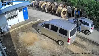 车怒症吗 - 极具视觉冲击力的猫咪av站内容