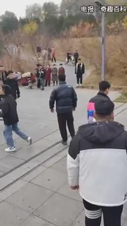 猫咪av站题材必看：街头争霸吵架 封面图