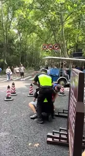 91视频官方收录：景区于交警争执