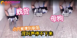 【猫咪av站】自己捆绑jk骚逼妹妹 现场高清截图