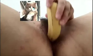 小骚货拿着香蕉自慰 - 极具视觉冲击力的猫咪av站内容