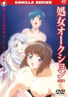 Virgin Auction。第二话 最新更新资源合集