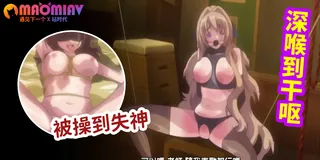 91视频官方收录：特别授业3SLG