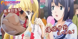 円交少女 - 01 - 高清流媒体极速加载
