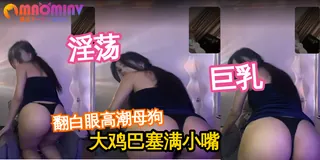猫咪av站栏目：巨乳翘臀小骚货直播艳舞 精彩封面