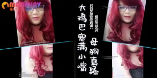 穿着黑丝发骚人妖 优质原创视频在线直达