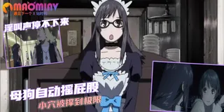 風箏解放者 手机浏览器流畅观看预览