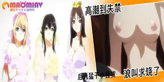 姊姊四重奏 - 02 - 1080P超清画质展示图
