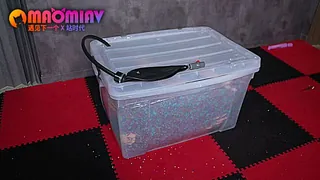 极致的窒息体验：小母狗被关在箱子仅有一根管子呼吸 - 高清在线观看