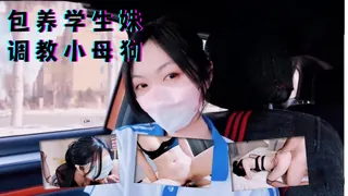 包养学生妹 调教小母狗 最新更新资源合集