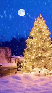 91视频官方收录：好美的大屁股