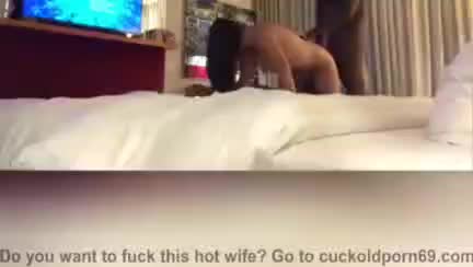 黑人妻子给大黑鸡巴湿口交 - 极具视觉冲击力的猫咪av站内容