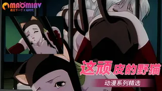 这顽皮的野猫 - 1080P超清画质展示图