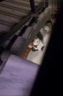 偷拍楼梯间做爱 - 1080P超清画质展示图