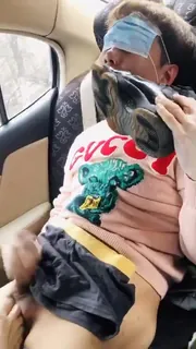 91视频官方收录：在车上撸管吃脚