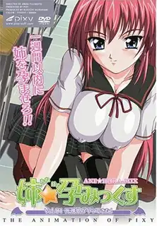 猫咪av站题材必看：姐姐☆懷孕MIX 第一章～ 封面图