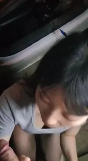 91视频推荐：户外口交后入 手机在线播放