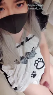 性感小猫猫～ - 极具视觉冲击力的猫咪av站内容