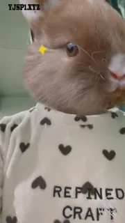 明天就回去了，这次希望儿子真的体悟到了#单亲妈妈01 - 实时更新的高清猫咪av站资源