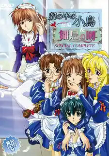 91社区热议作品：壳里的小鸟  第四话. 实拍